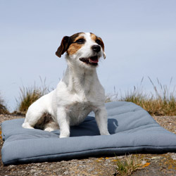 Cestovní pelíšek