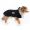 Manta mesh para perro