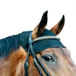 Nekbeschermer Paard